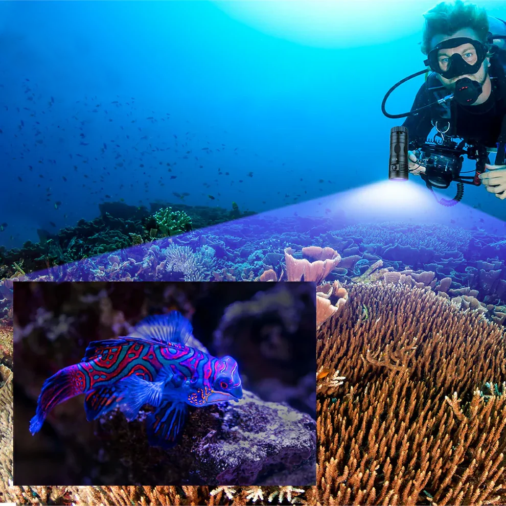 Linterna de buceo Trustfire DF90: linterna de buceo brillante de 15 000 lúmenes, linterna subacuática de 70 m para buceo en cuevas de aguas profundas y fotografía submarina-EStrustfire
