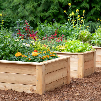 Natural Cedar Raised Garden Beds -  Free Trim Pack