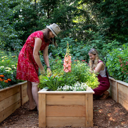 Natural Cedar Raised Garden Beds -  Free Trim Pack
