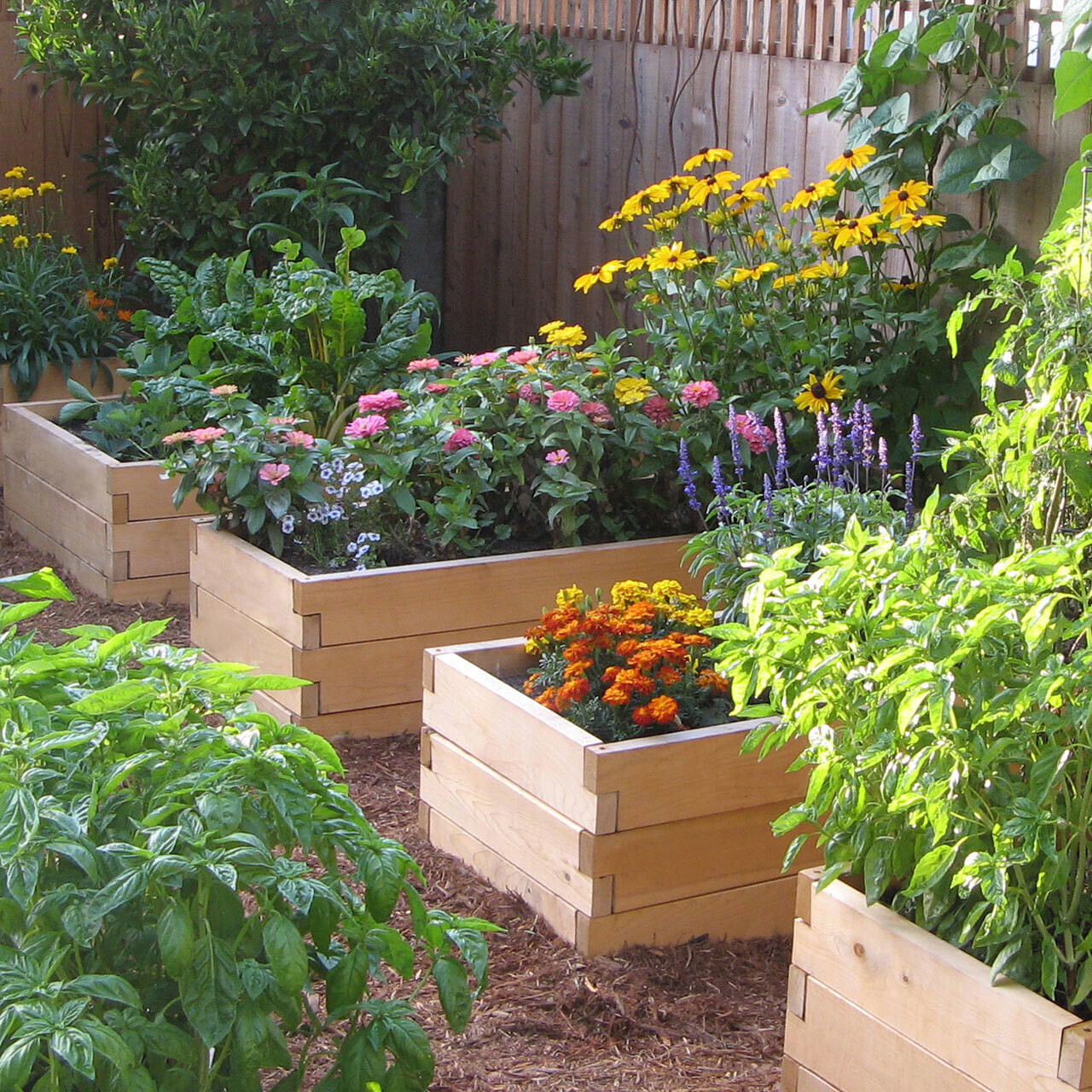 🔥Buy 2 GET 2 Free🌱Natural Cedar Raised Garden Beds - Free Trim Pack