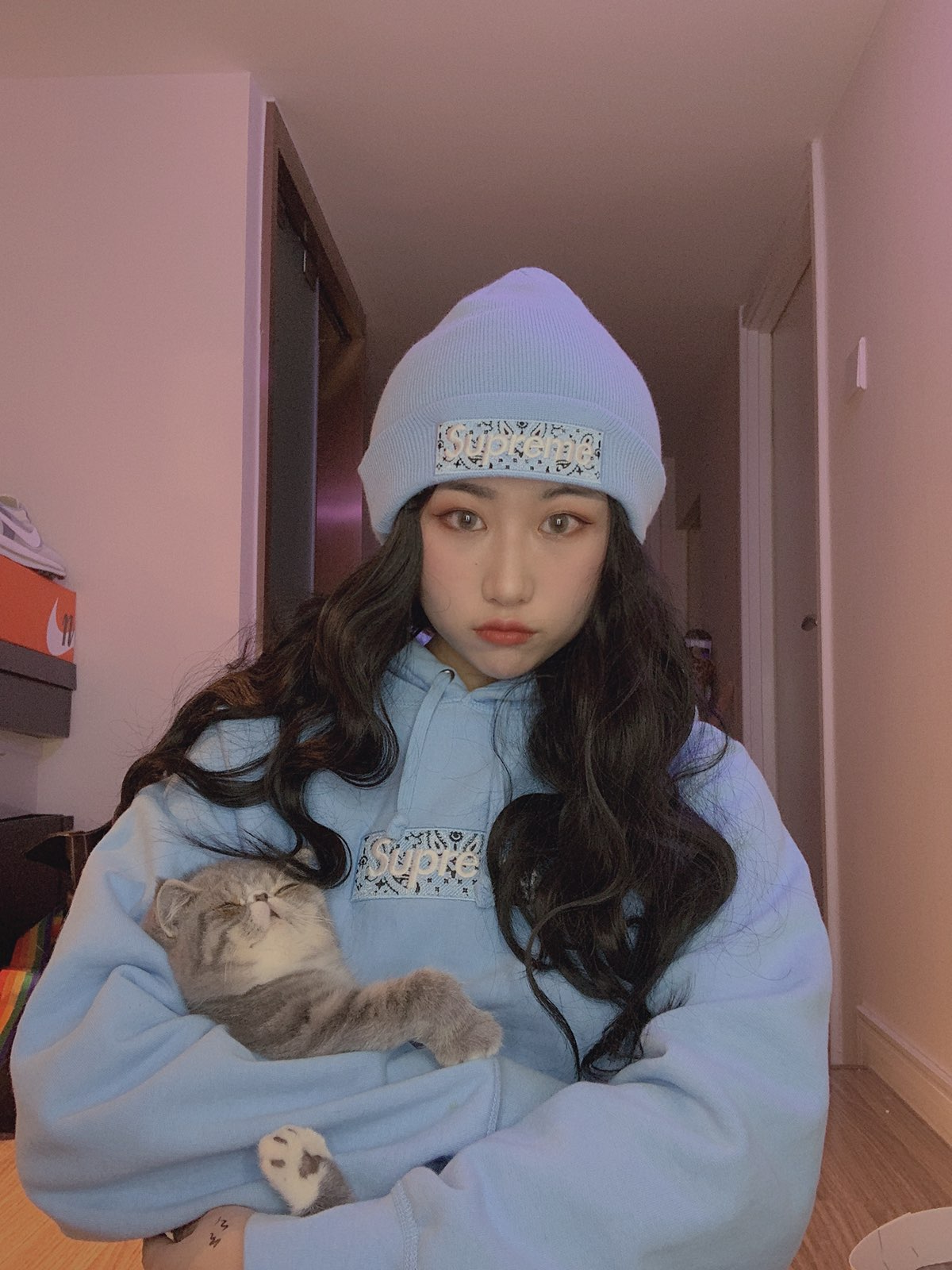 Supreme 19FW Bandana Box Logo Hooded Sweatshirt