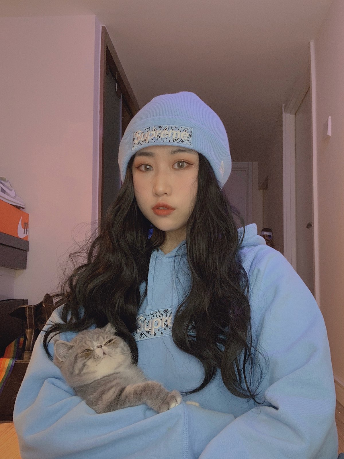 Supreme 19FW Bandana Box Logo Hooded Sweatshirt