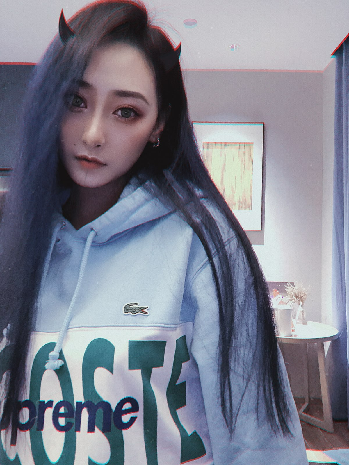 Supreme®/LACOSTE 19FW Logo Panel Hooded Sweatshirt