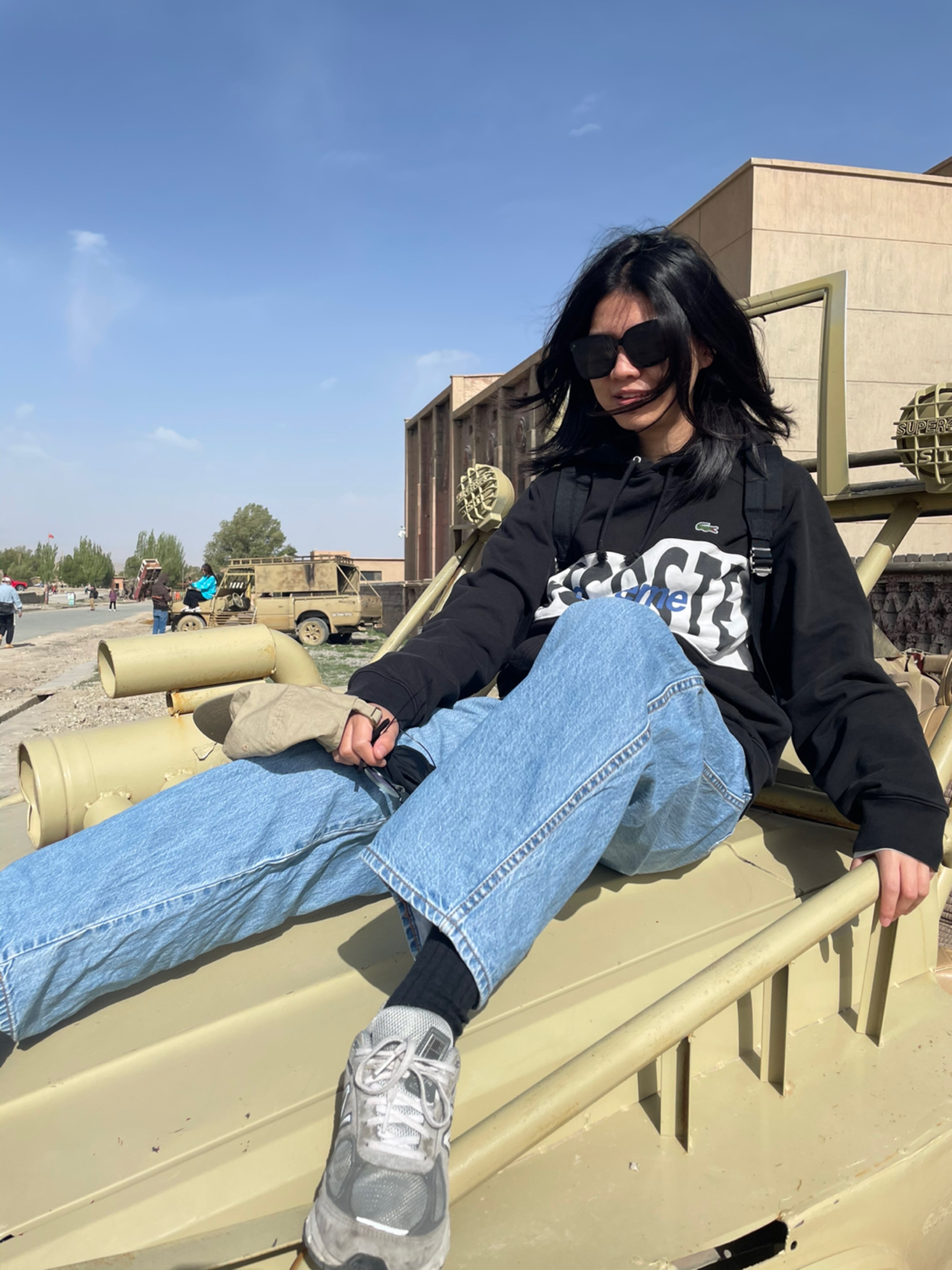 Supreme®/LACOSTE 19FW Logo Panel Hooded Sweatshirt