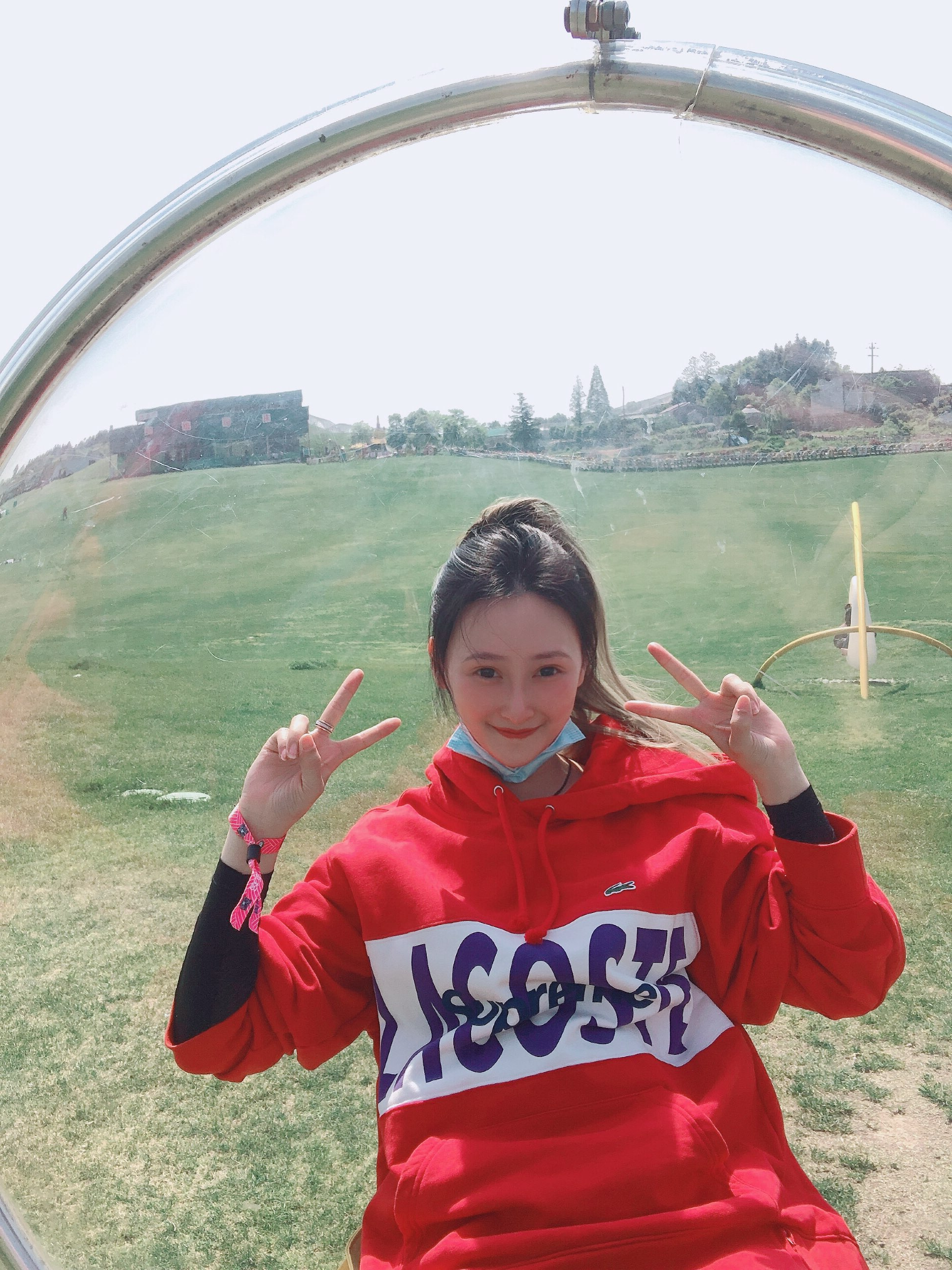 Supreme®/LACOSTE 19FW Logo Panel Hooded Sweatshirt