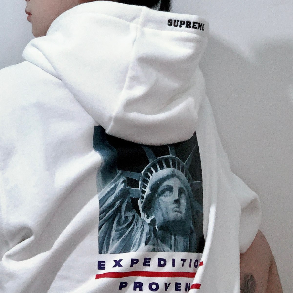Supreme®/The North Face® 19FW Statue of Liberty Hooded Sweatshirt