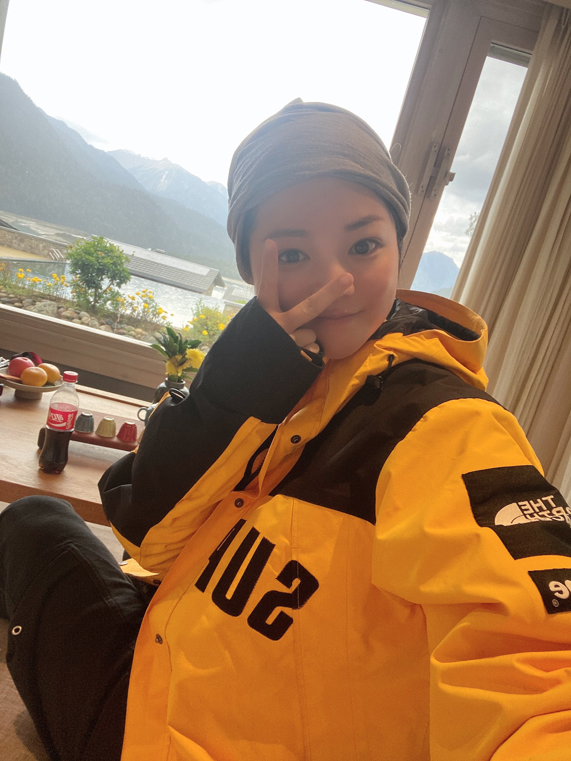 Supreme®/The North Face® Arc Logo Mountain Parka