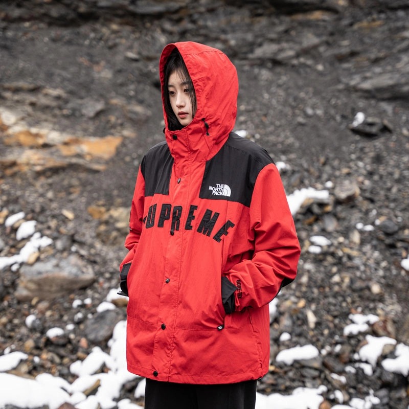 Supreme®/The North Face® Arc Logo Mountain Parka