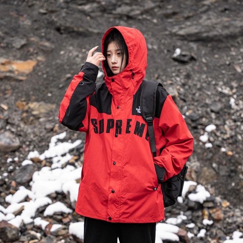 Supreme®/The North Face® Arc Logo Mountain Parka