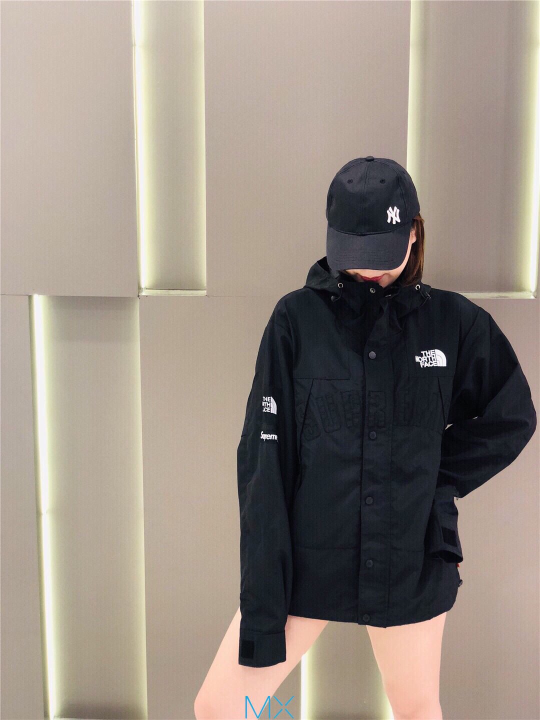 Supreme®/The North Face® Arc Logo Mountain Parka