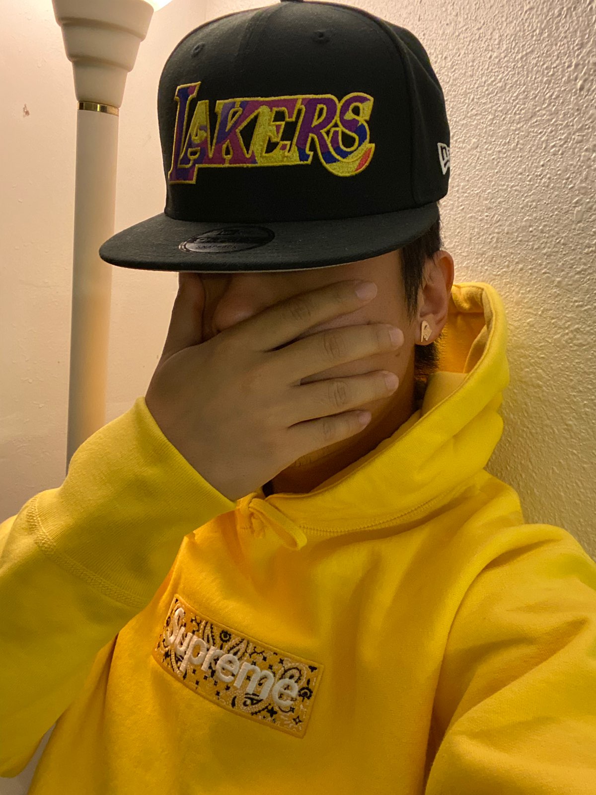 Supreme 19FW Bandana Box Logo Hooded Sweatshirt