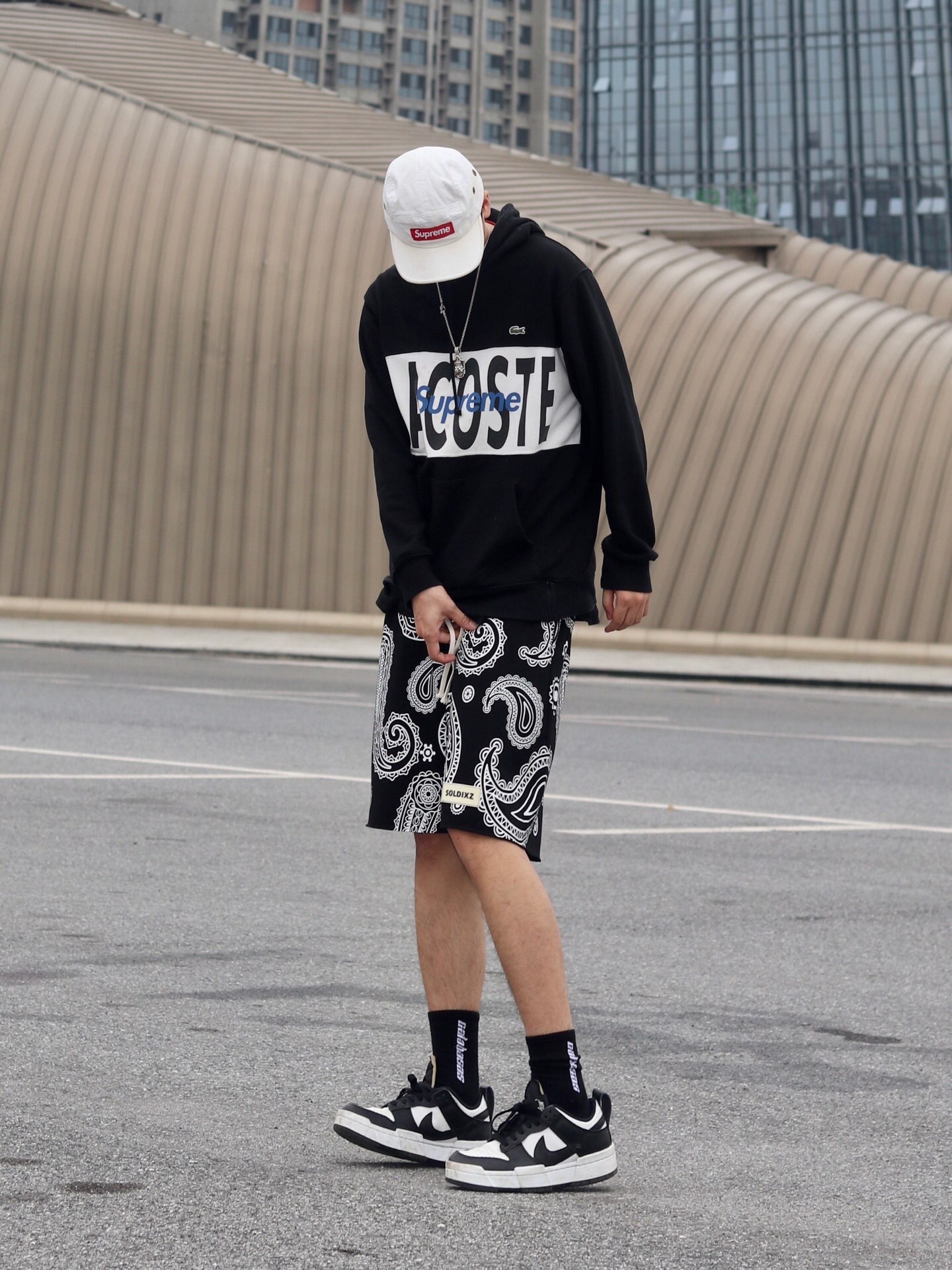 Supreme®/LACOSTE 19FW Logo Panel Hooded Sweatshirt