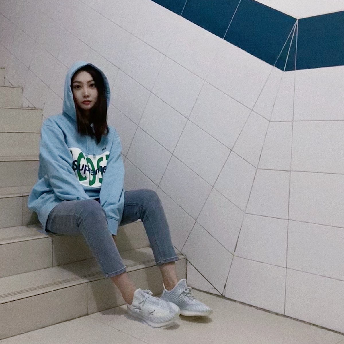 Supreme®/LACOSTE 19FW Logo Panel Hooded Sweatshirt