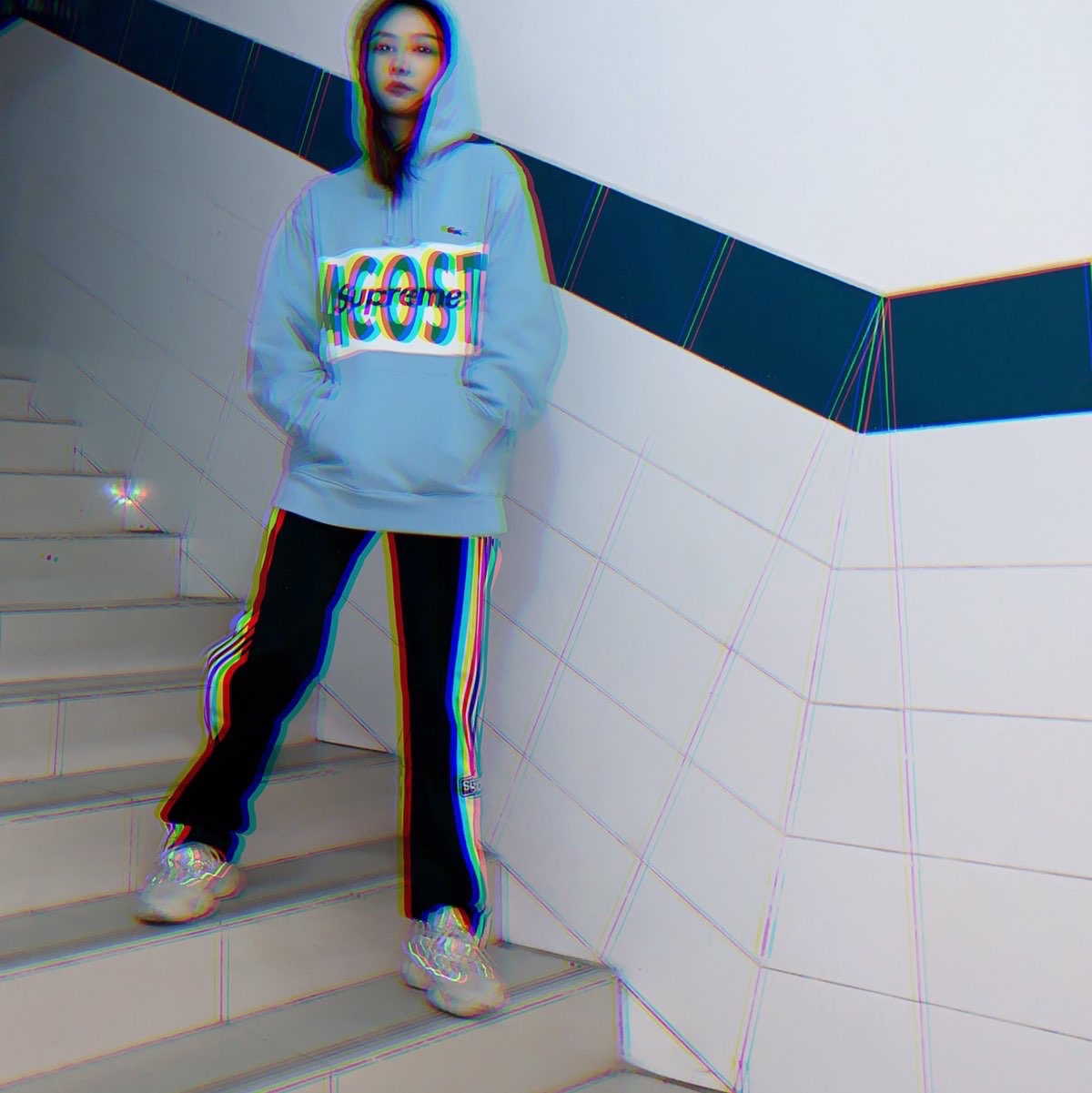 Supreme®/LACOSTE 19FW Logo Panel Hooded Sweatshirt