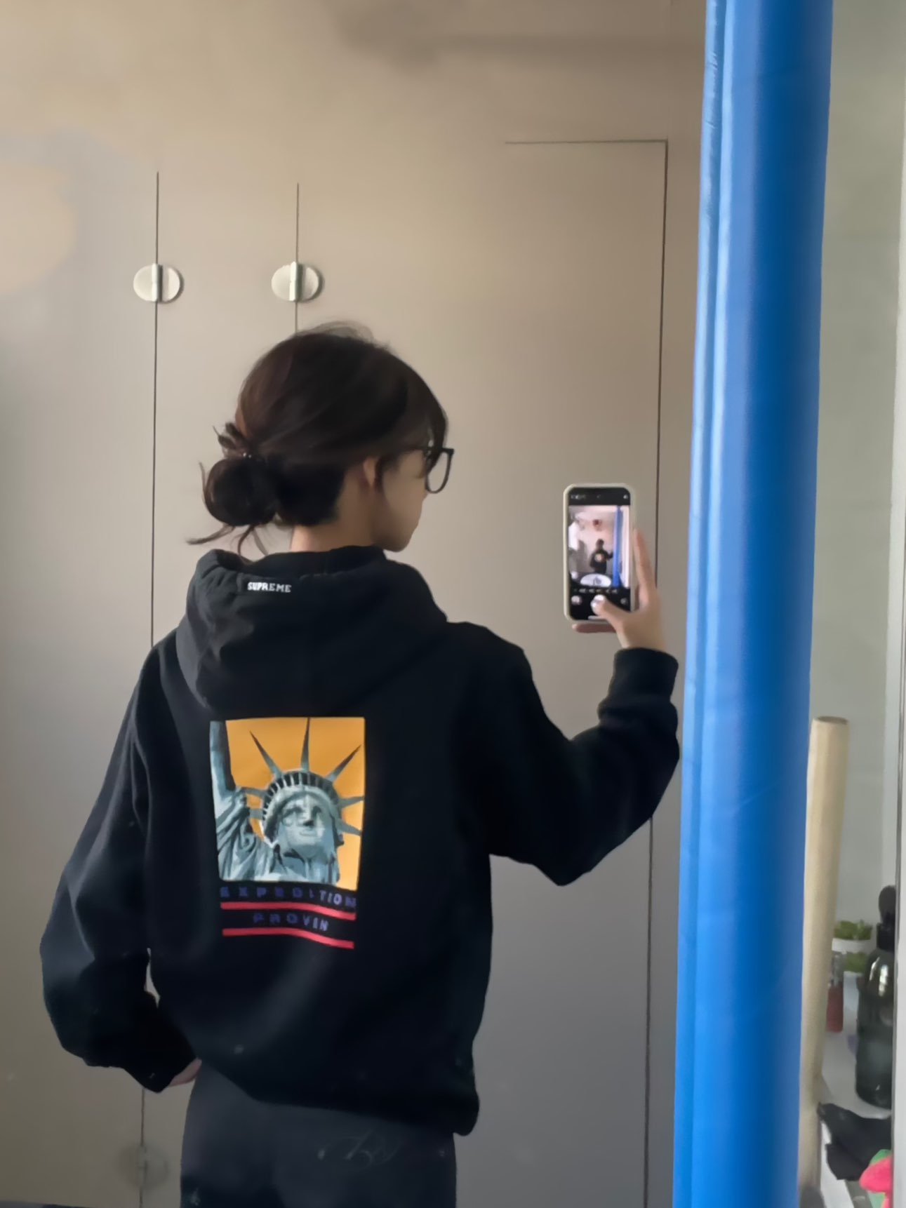 Supreme®/The North Face® 19FW Statue of Liberty Hooded Sweatshirt