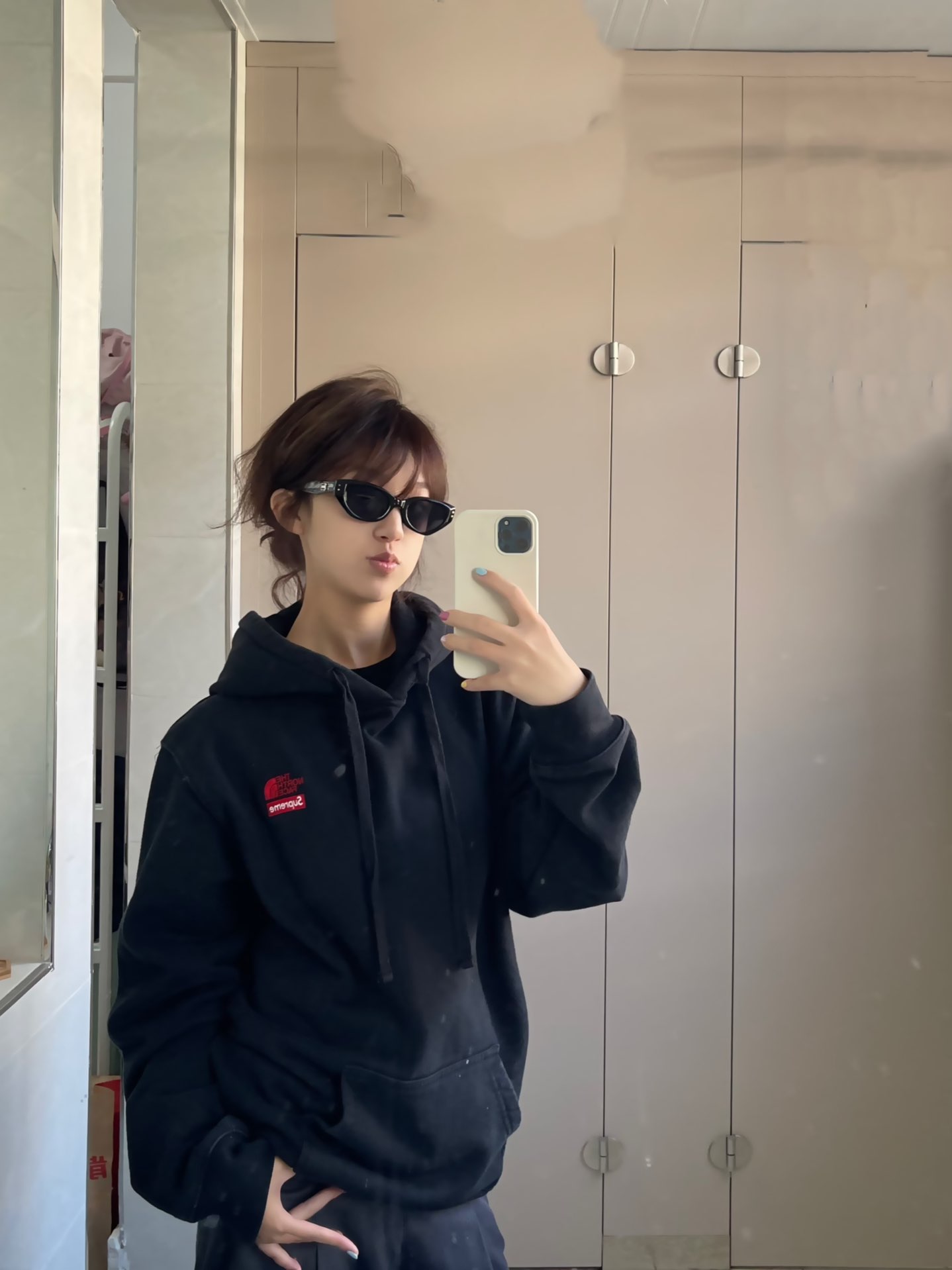 Supreme®/The North Face® 19FW Statue of Liberty Hooded Sweatshirt