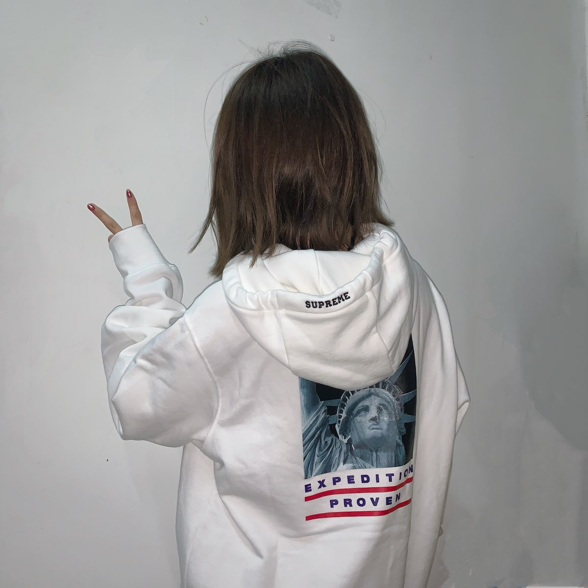 Supreme®/The North Face® 19FW Statue of Liberty Hooded Sweatshirt