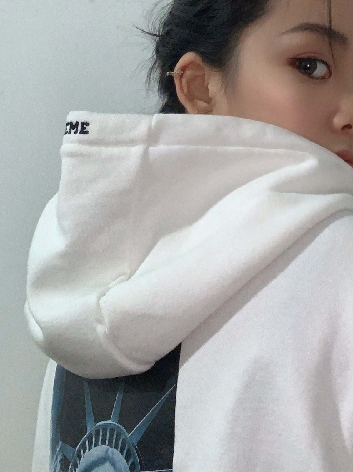 Supreme®/The North Face® 19FW Statue of Liberty Hooded Sweatshirt