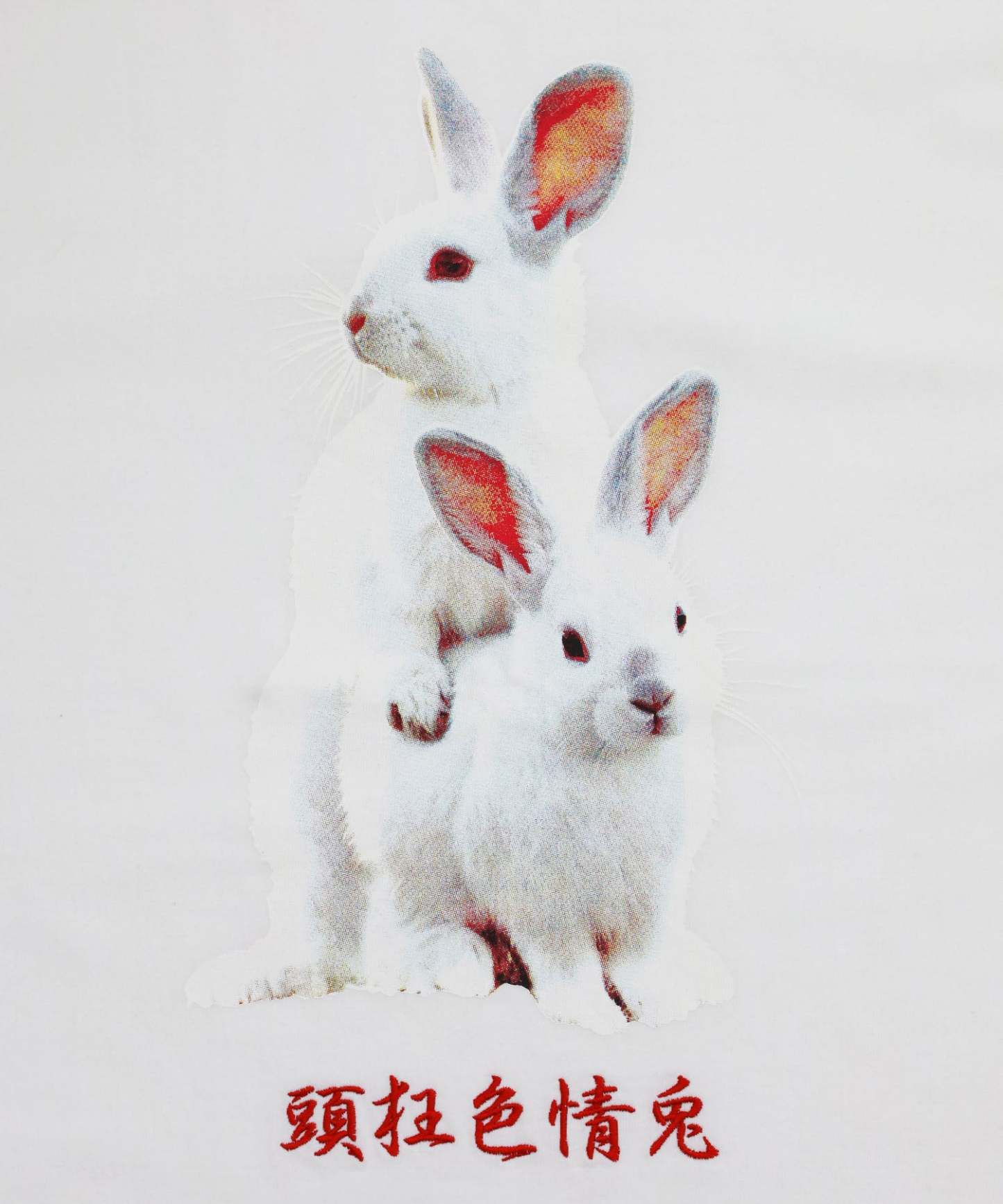 Fxxking Rabbits Photo T-shirt