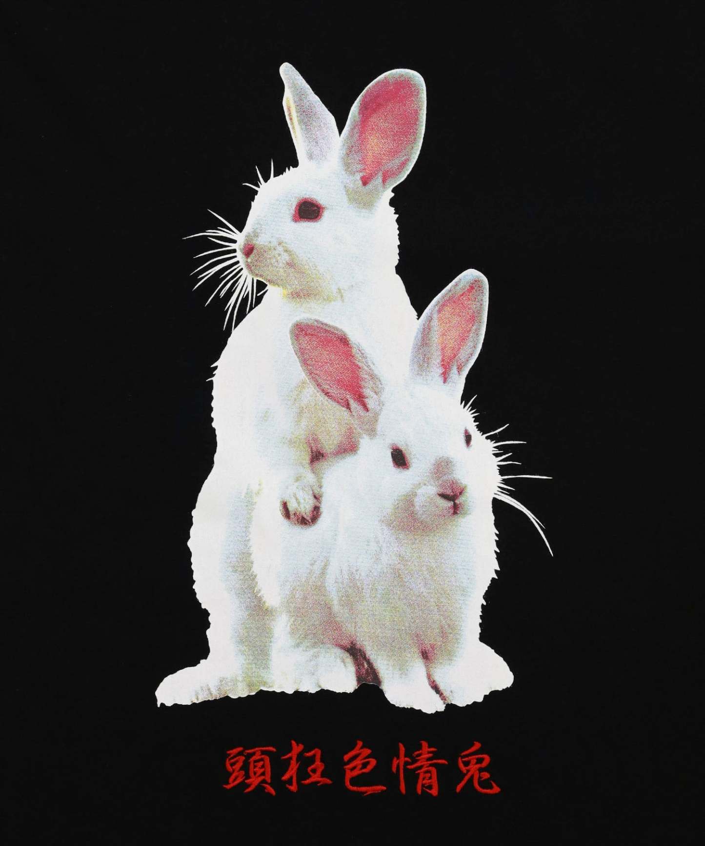 Fxxking Rabbits Photo T-shirt