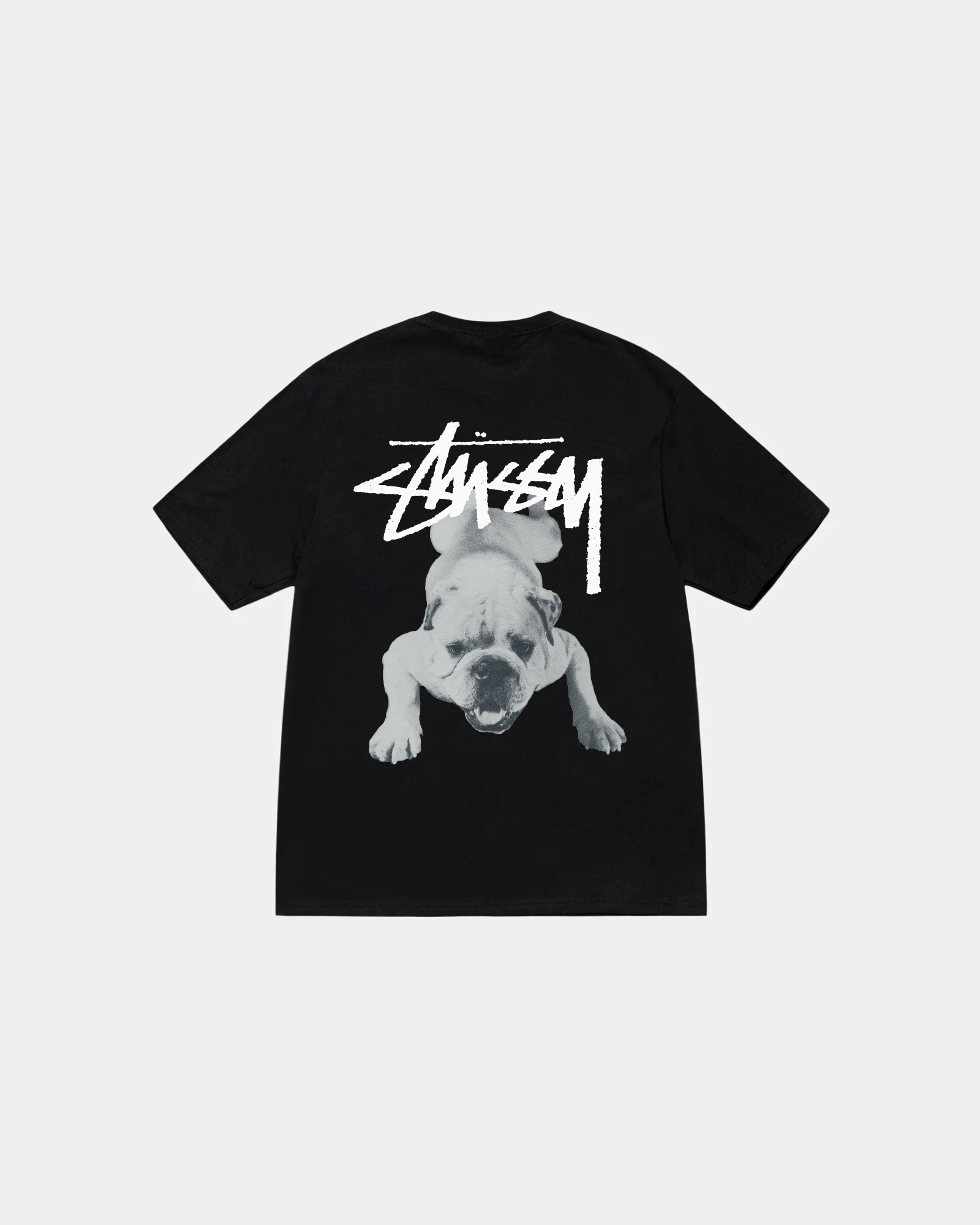 Stussy Shepherd Dog Tee