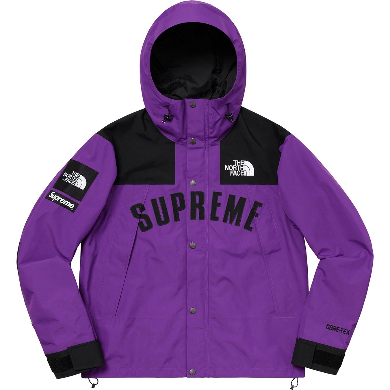 Supreme®/The North Face® Arc Logo Mountain Parka