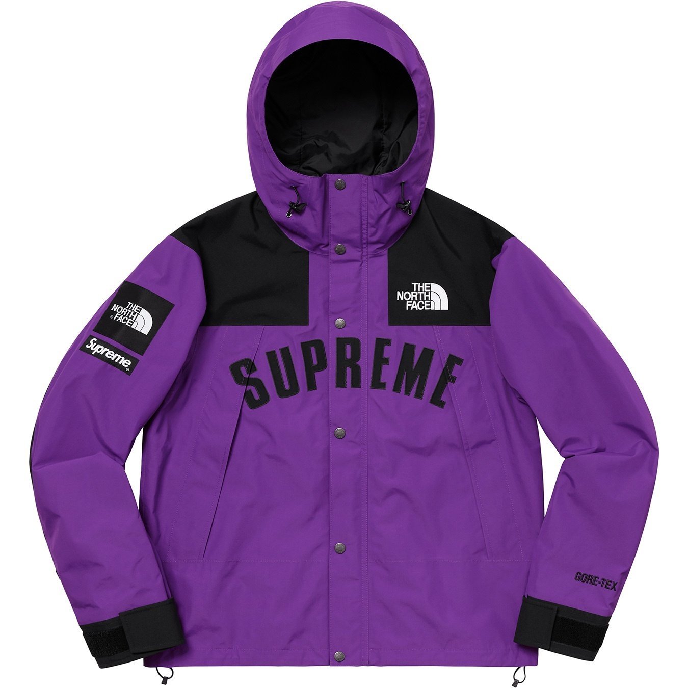 Supreme®/The North Face® Arc Logo Mountain Parka