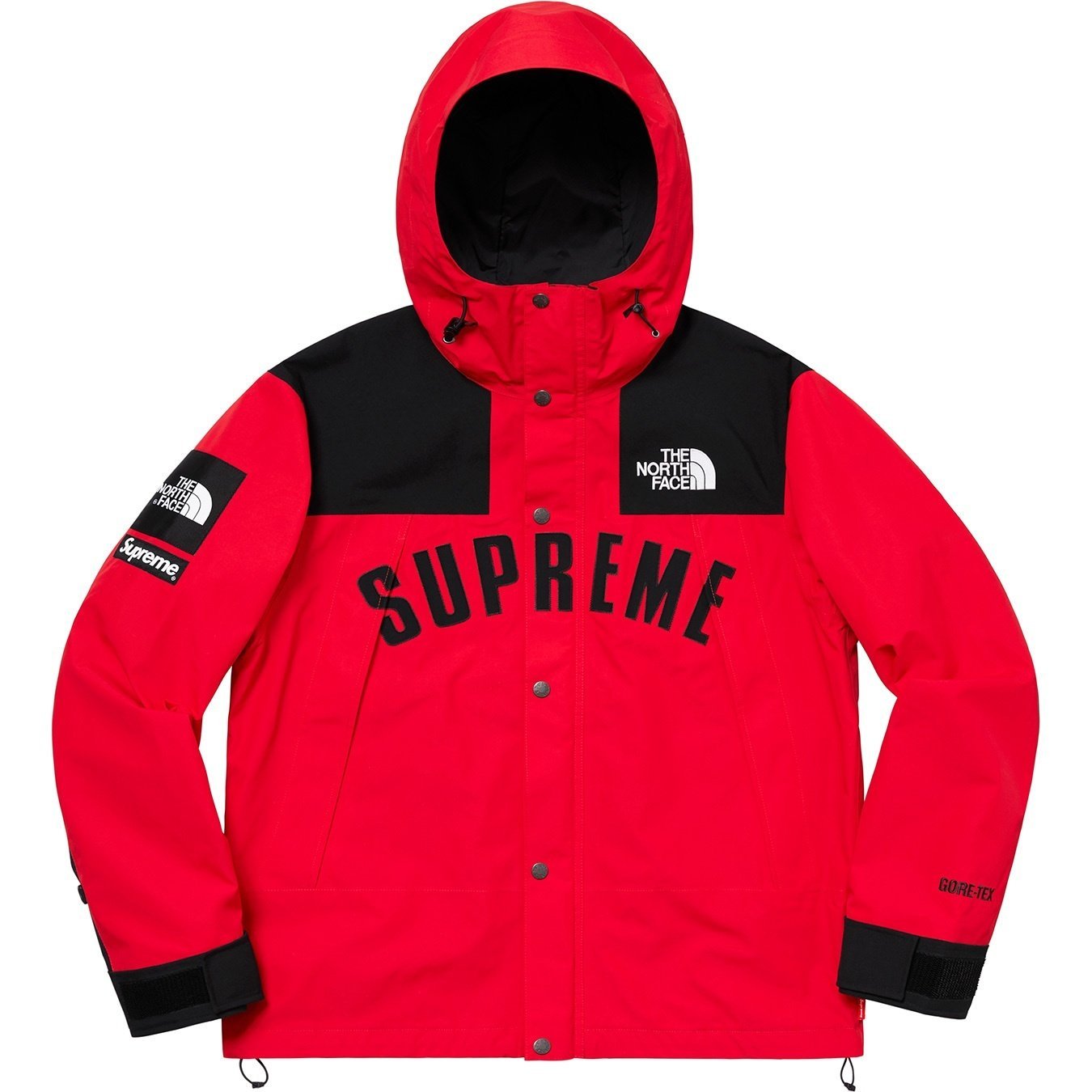 Supreme®/The North Face® Arc Logo Mountain Parka