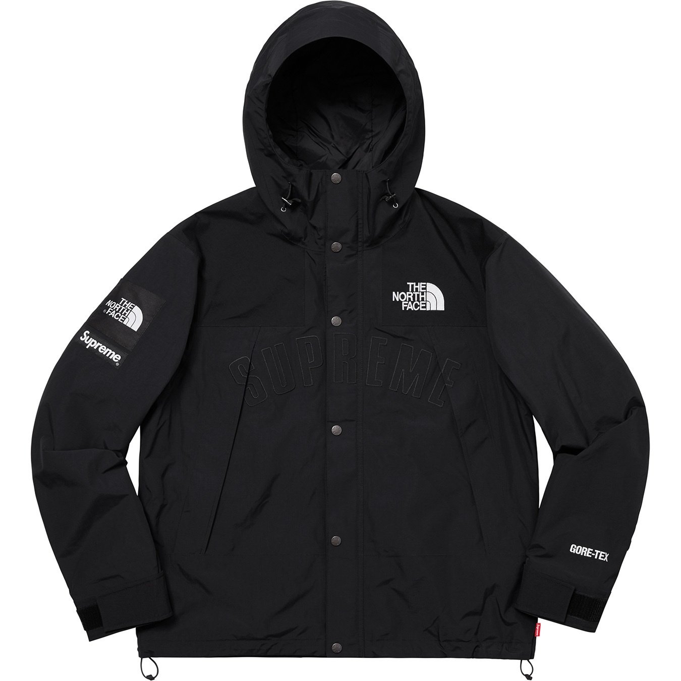 Supreme®/The North Face® Arc Logo Mountain Parka