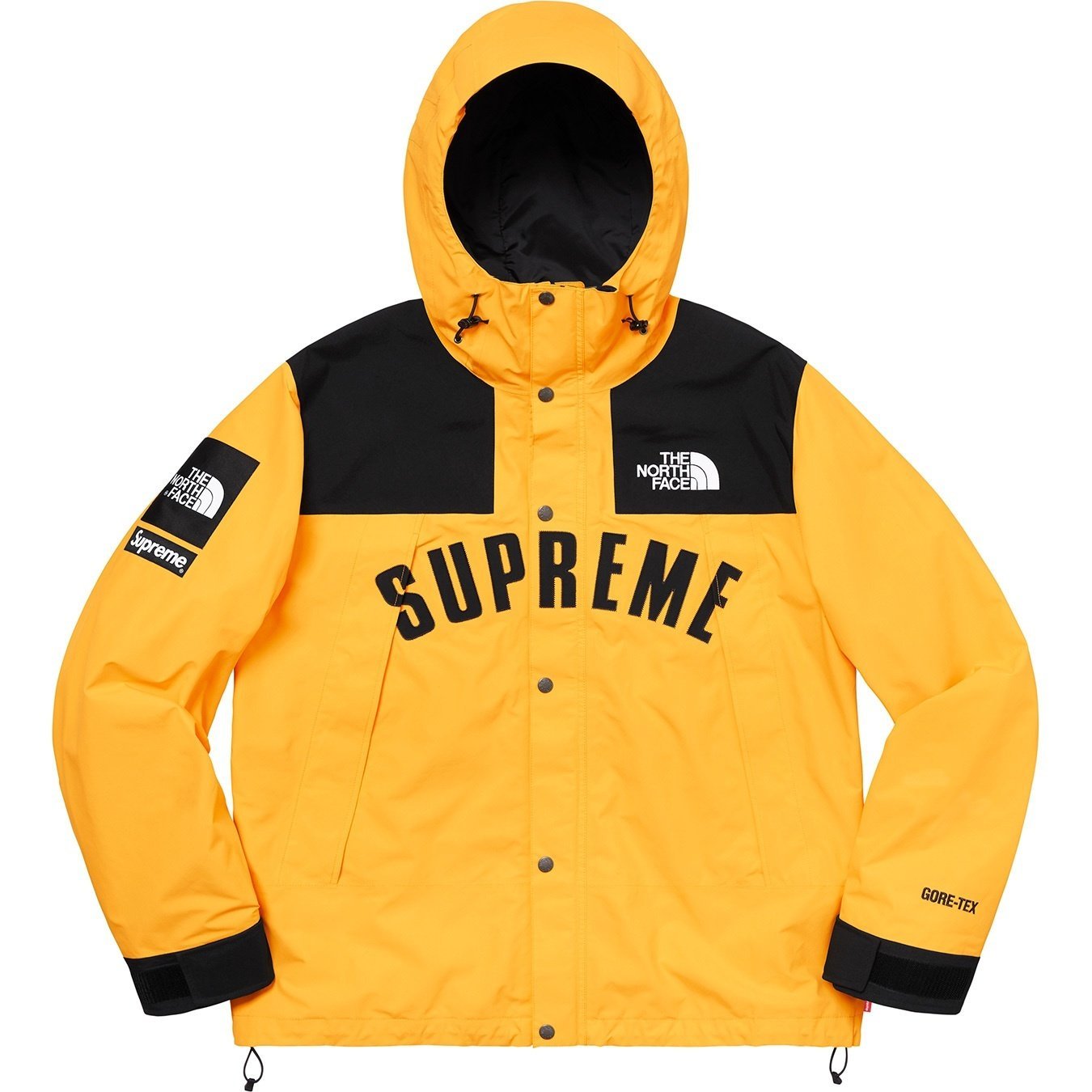 Supreme®/The North Face® Arc Logo Mountain Parka