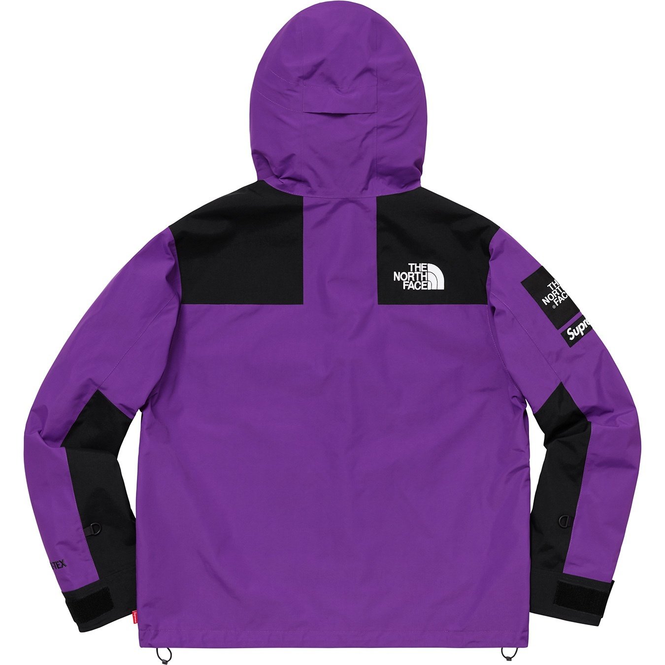 Supreme®/The North Face® Arc Logo Mountain Parka