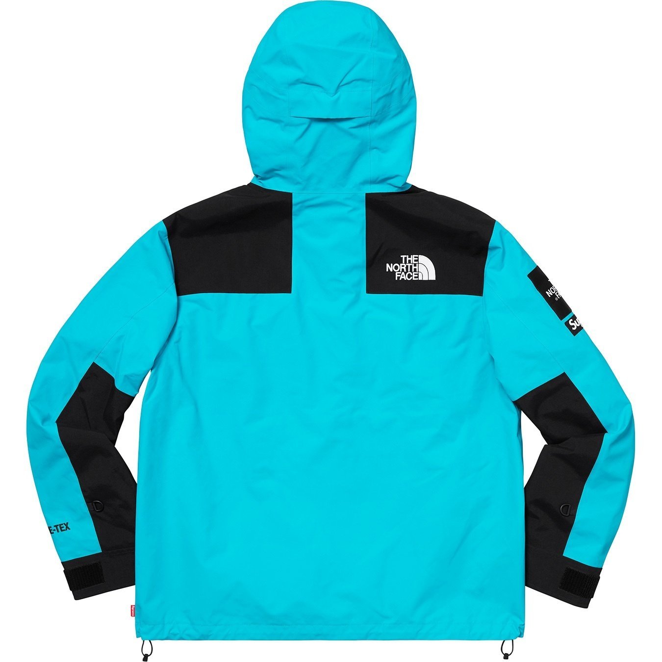 Supreme®/The North Face® Arc Logo Mountain Parka