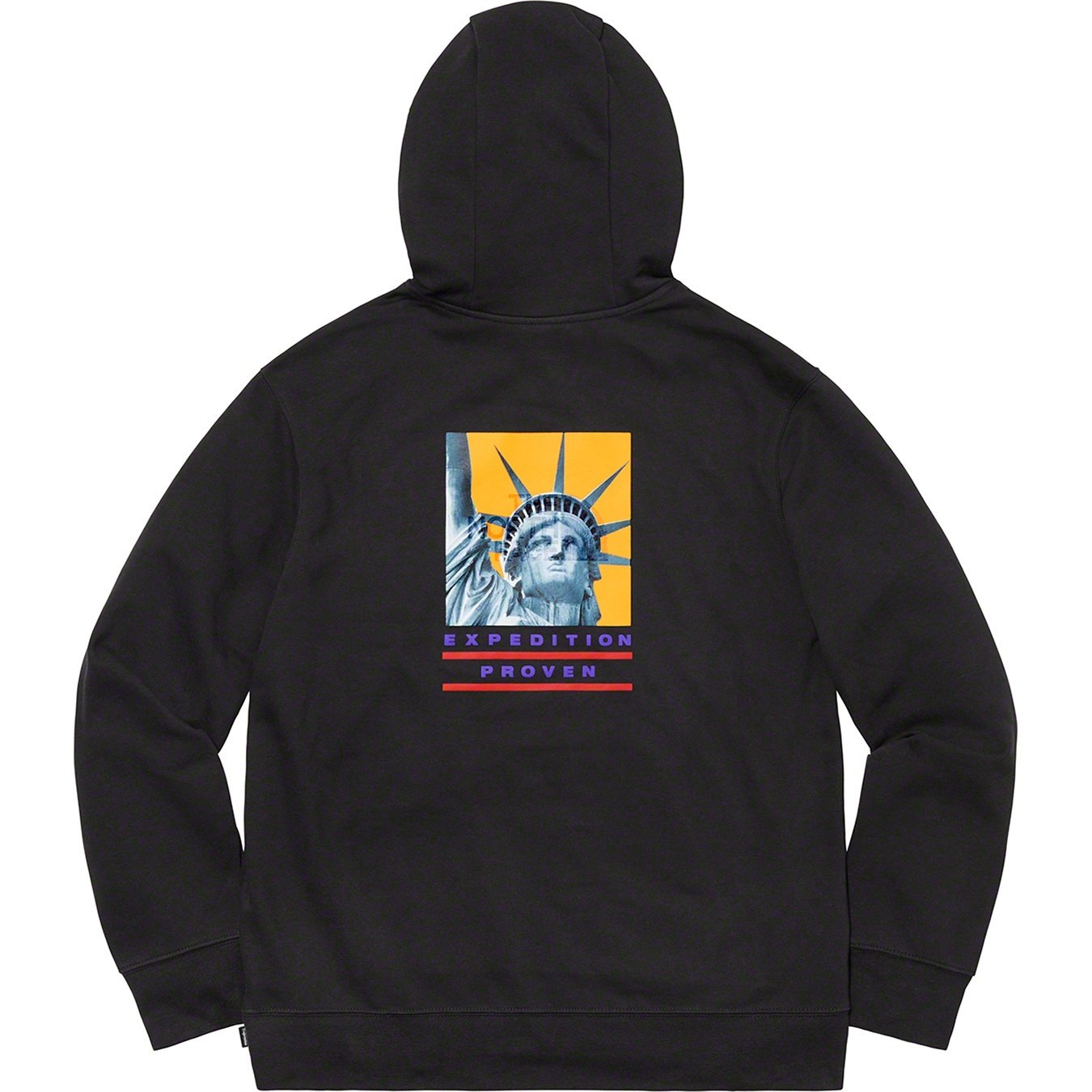 Supreme®/The North Face® 19FW Statue of Liberty Hooded Sweatshirt