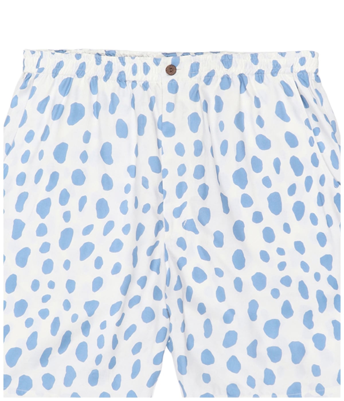 HAWAIIAN SHORTS (TYPE-2)【BLUE】