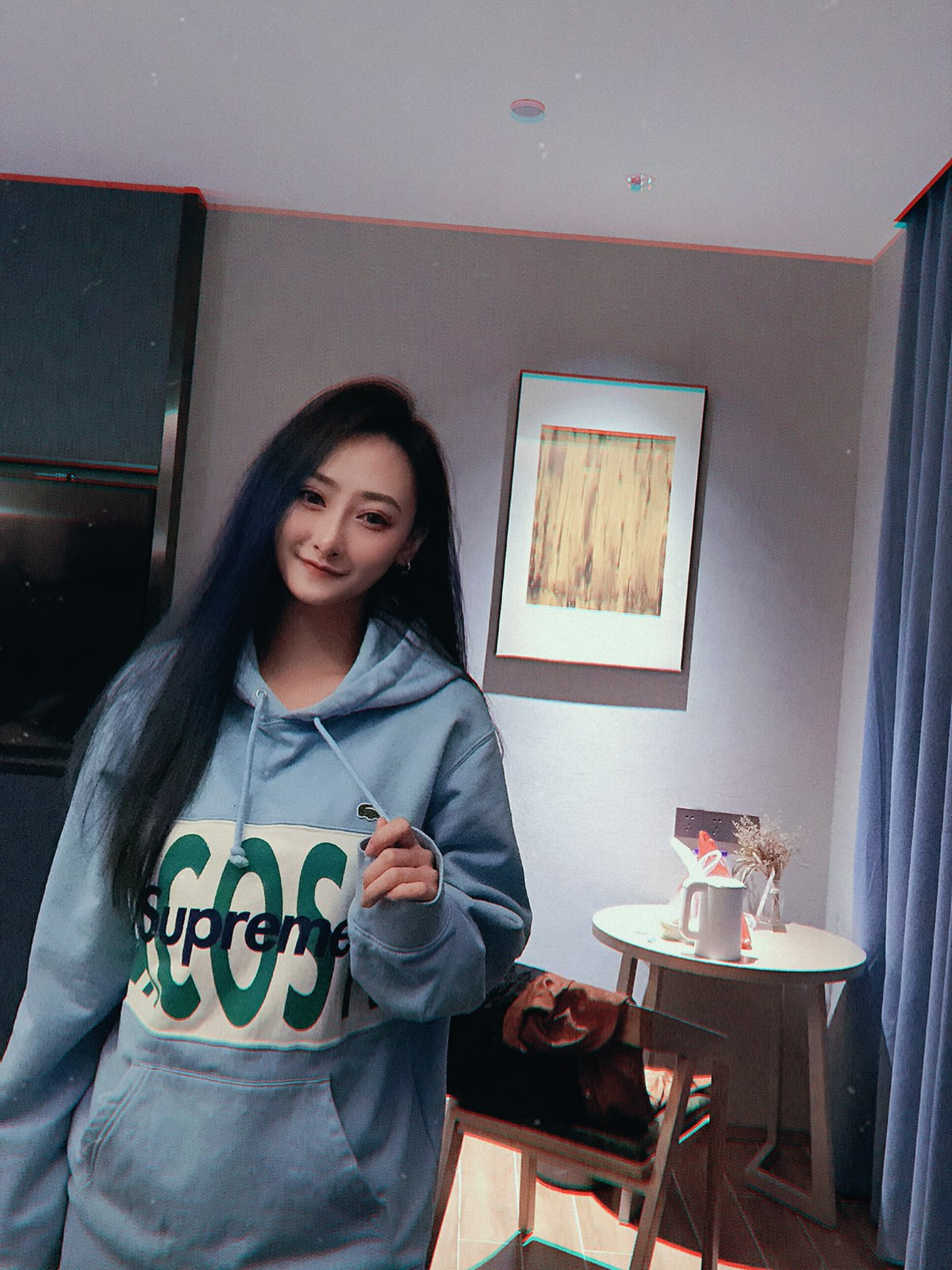 Supreme®/LACOSTE 19FW Logo Panel Hooded Sweatshirt