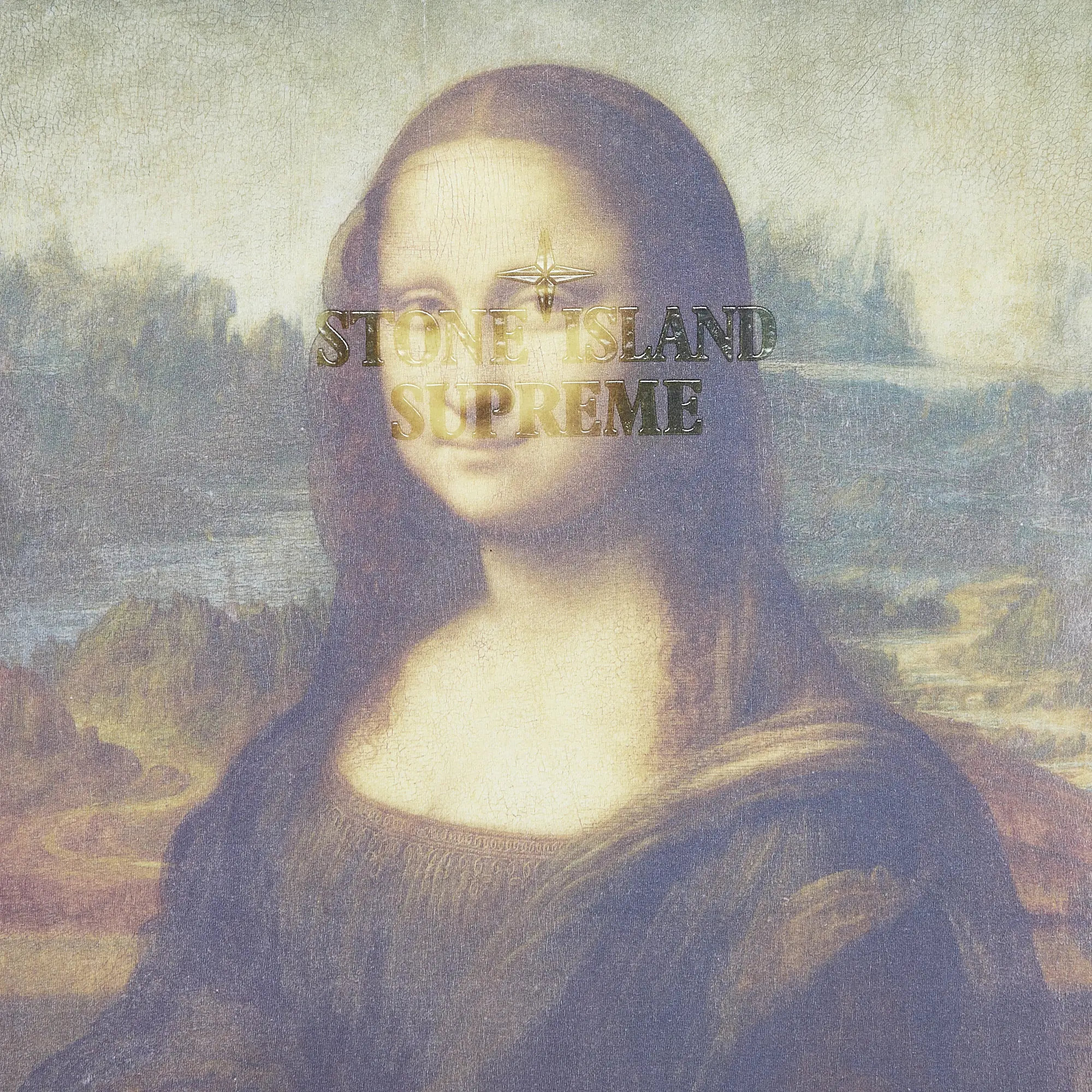 Supreme x Stone Island 22FW Short-Sleeve Top 'Mona Lisa'