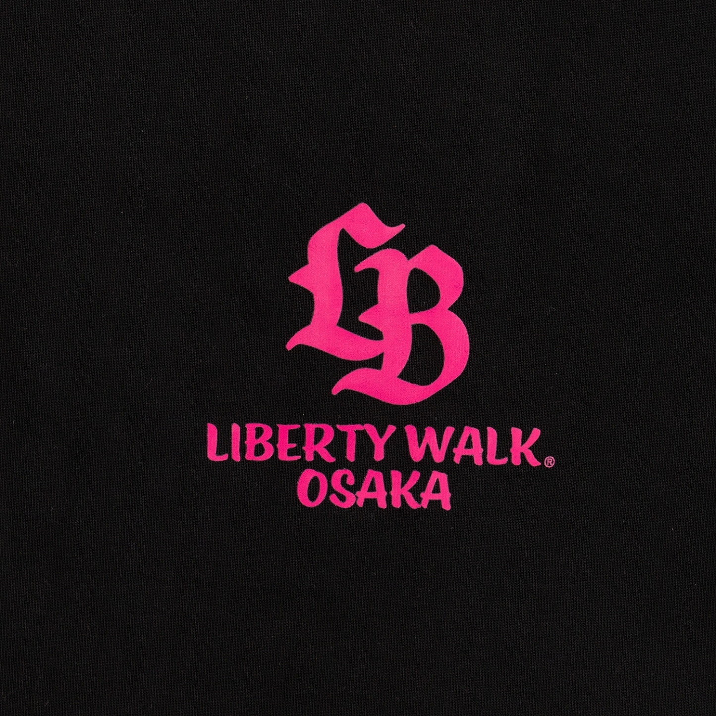 【先行発売】OSAKA Box Logo 35 Silhouette Tee