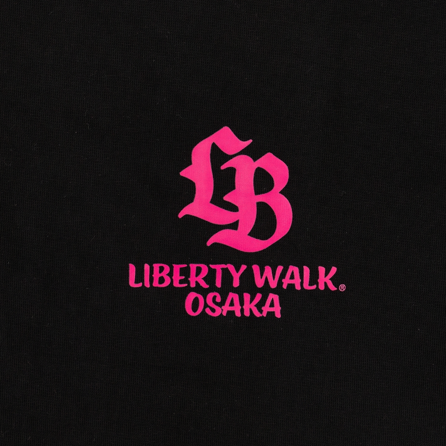 【先行発売】OSAKA Box Logo 35 Silhouette Tee