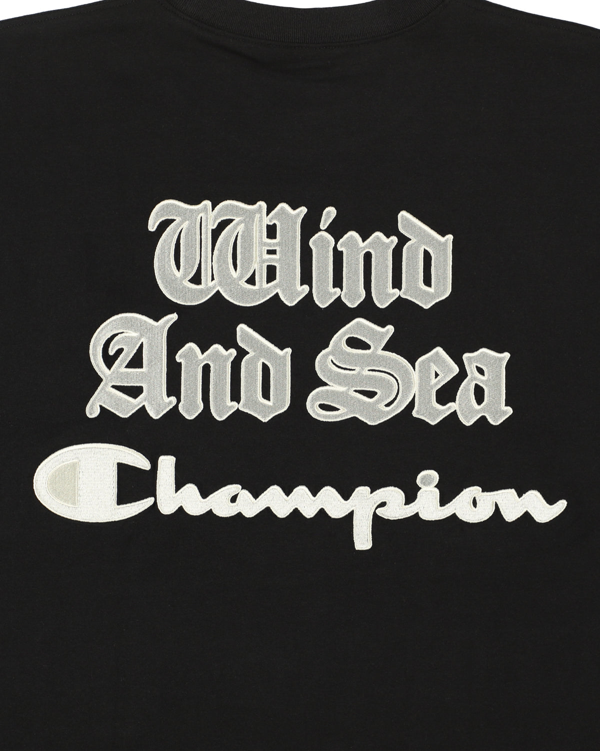 CHAMPION x WDS (WDS) TEE
