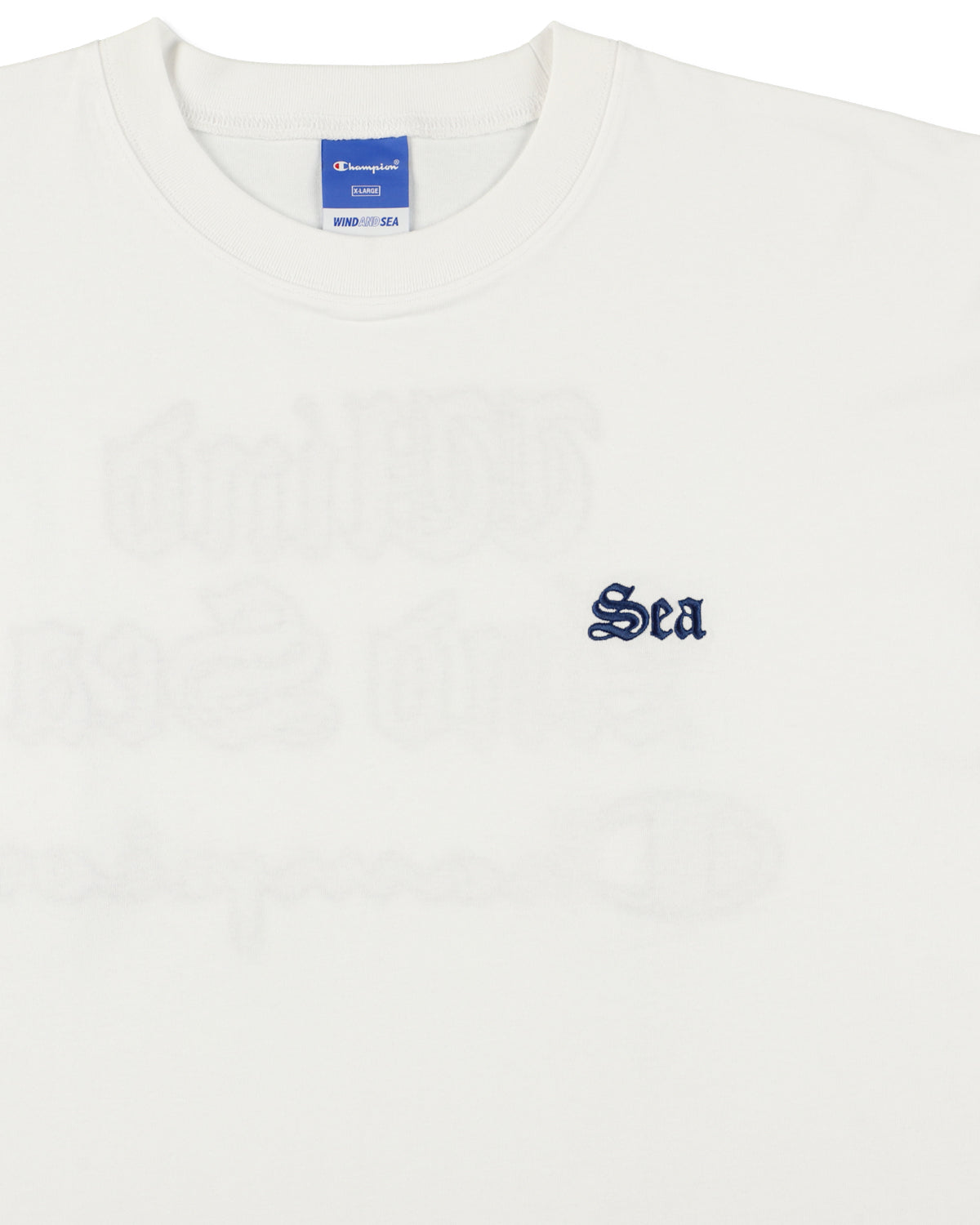 CHAMPION x WDS (WDS) TEE