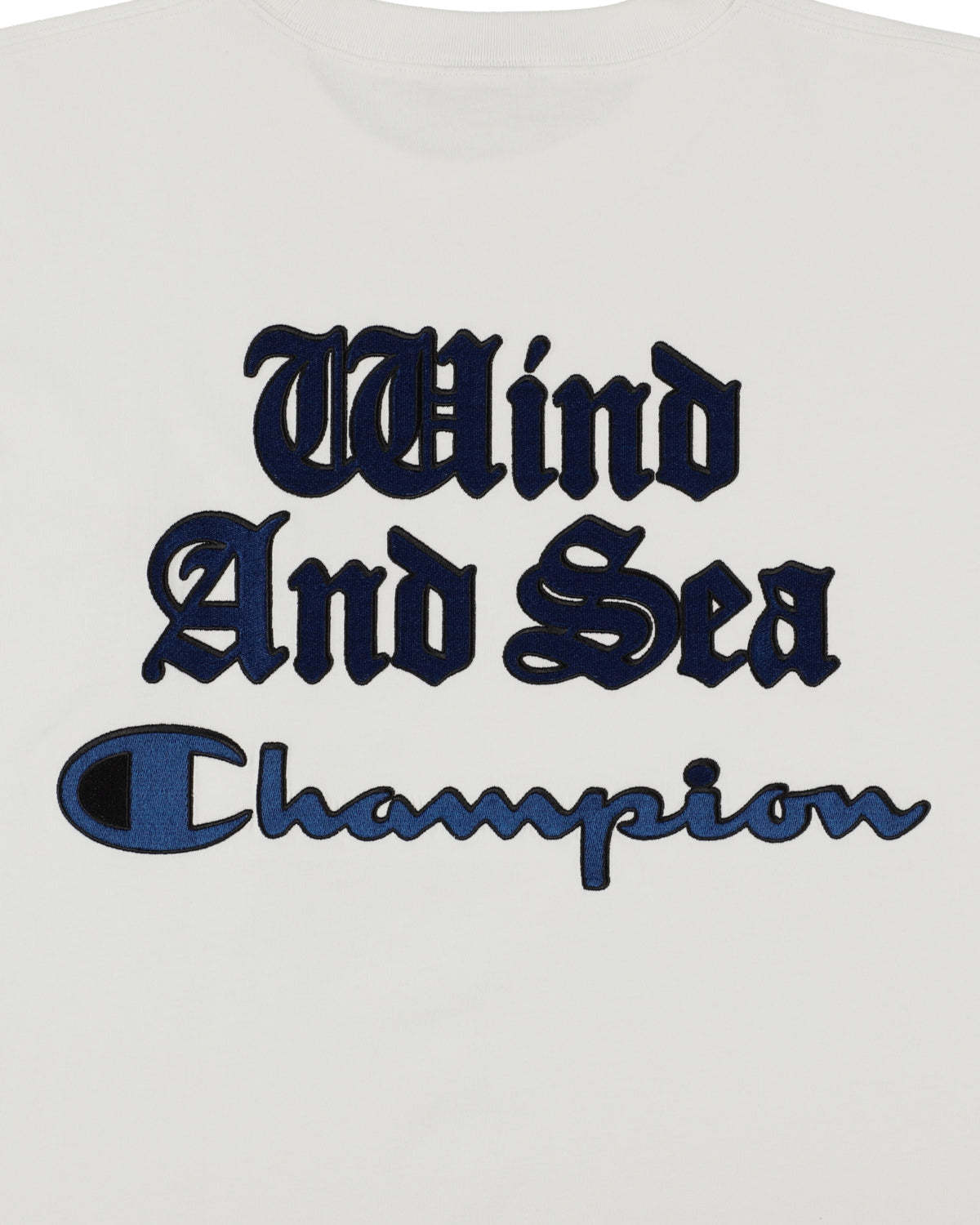 CHAMPION x WDS (WDS) TEE