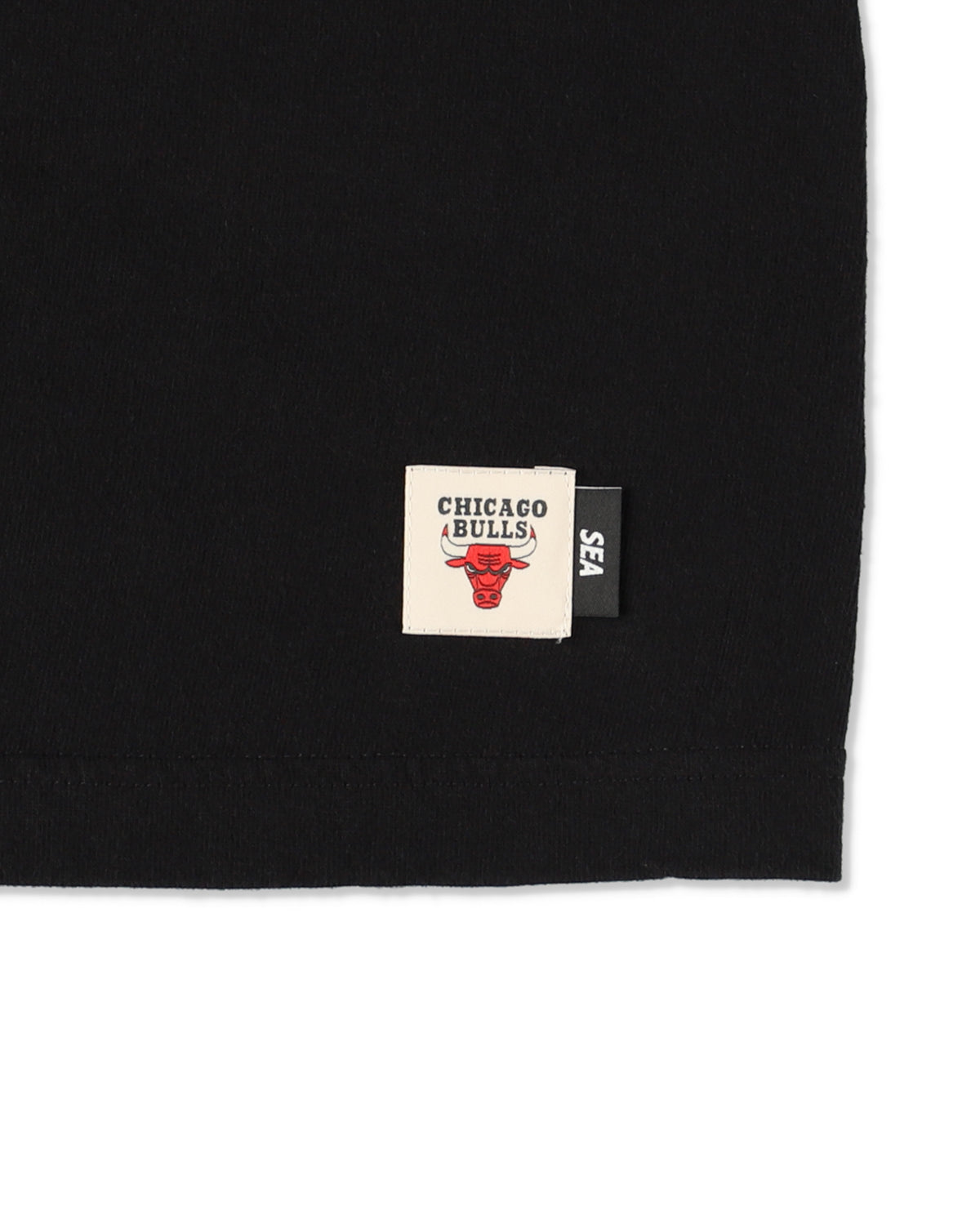 PARAPPA x BULLS L/S TEE