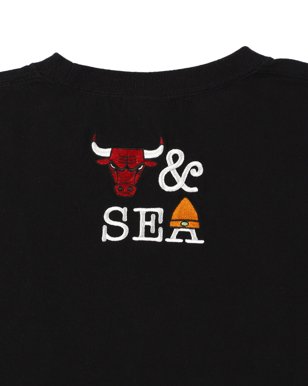 PARAPPA x BULLS L/S TEE