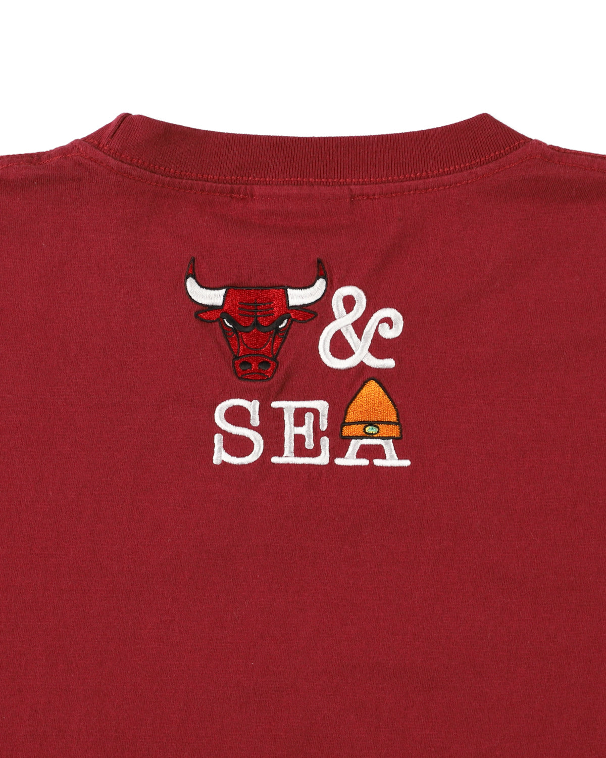 PARAPPA x BULLS L/S TEE
