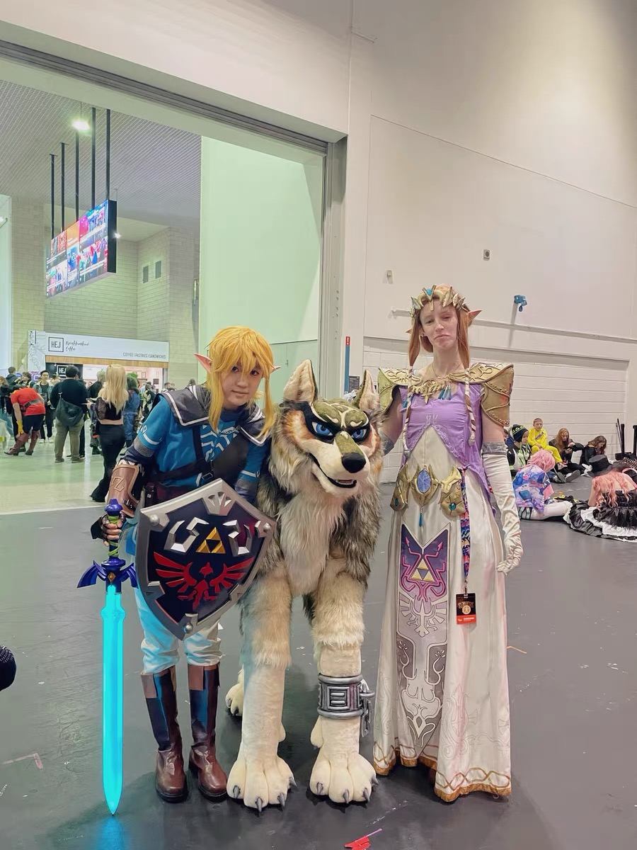 Bestpropreplica The Legend of Zelda Hylia Shield