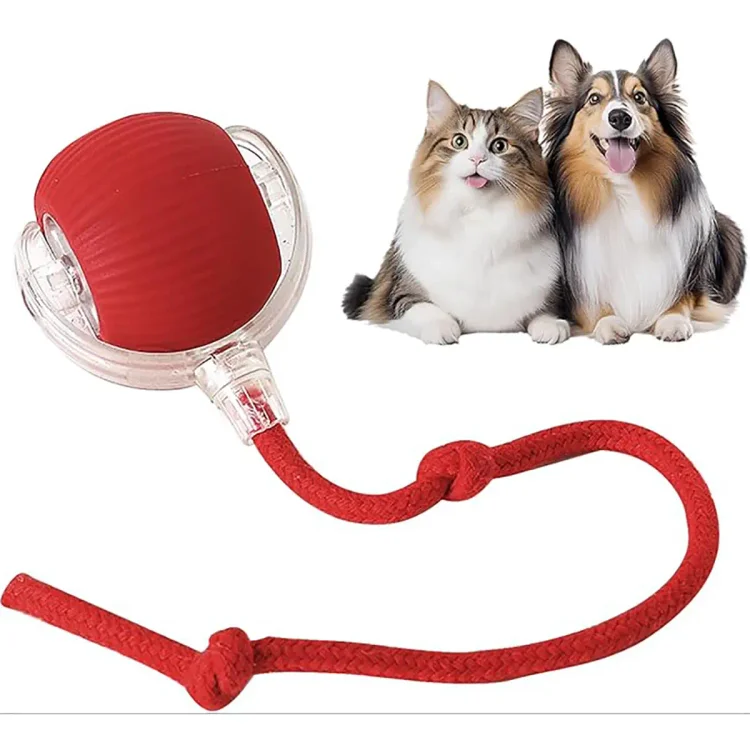 Smart Interactive Pet Toy Ball