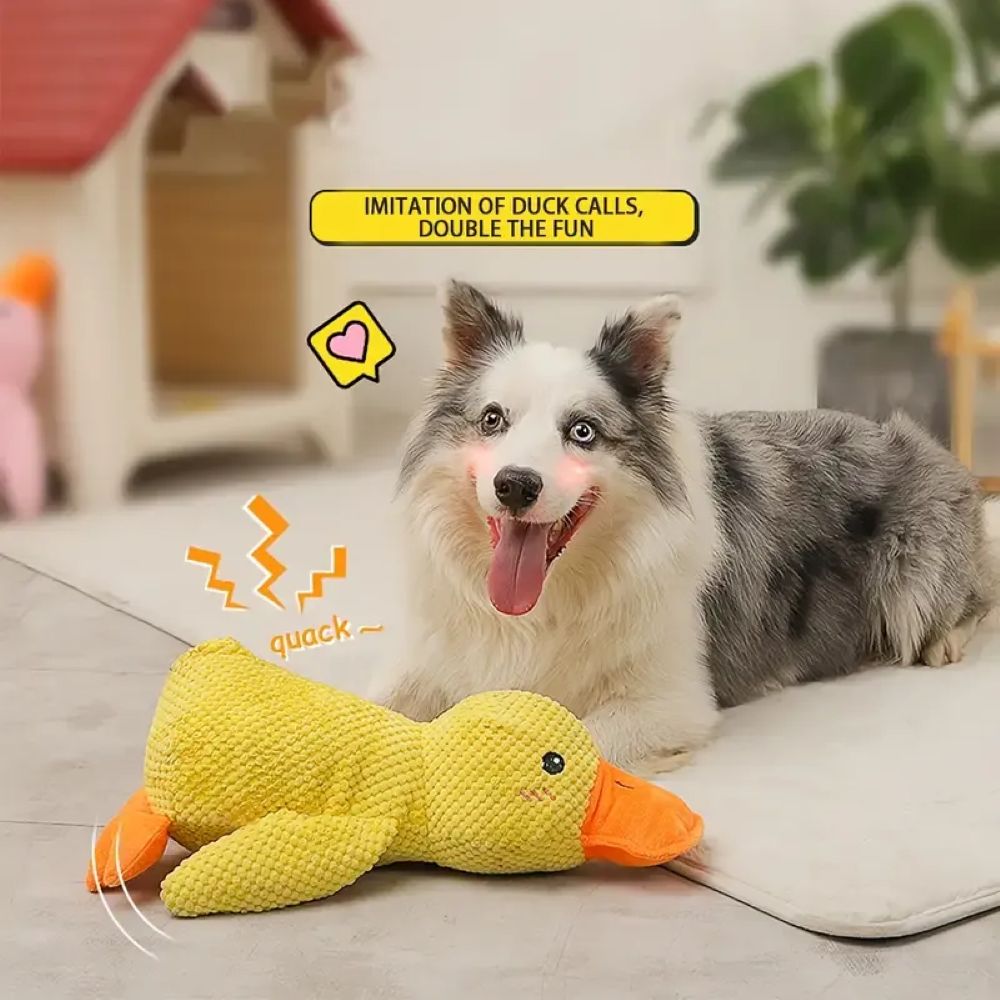 Calming Duck Plush Toy For Dogs – Anxiety Relief & Comfort Toy