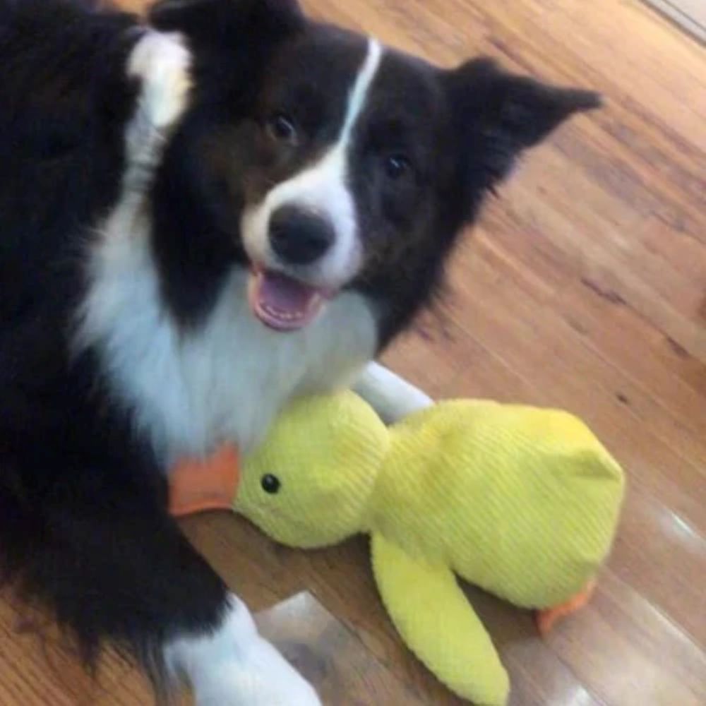 Calming Duck Plush Toy For Dogs – Anxiety Relief & Comfort Toy