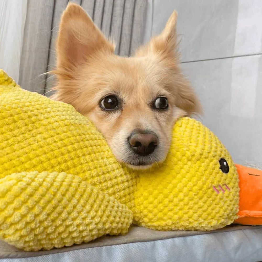 Calming Duck Plush Toy For Dogs – Anxiety Relief & Comfort Toy