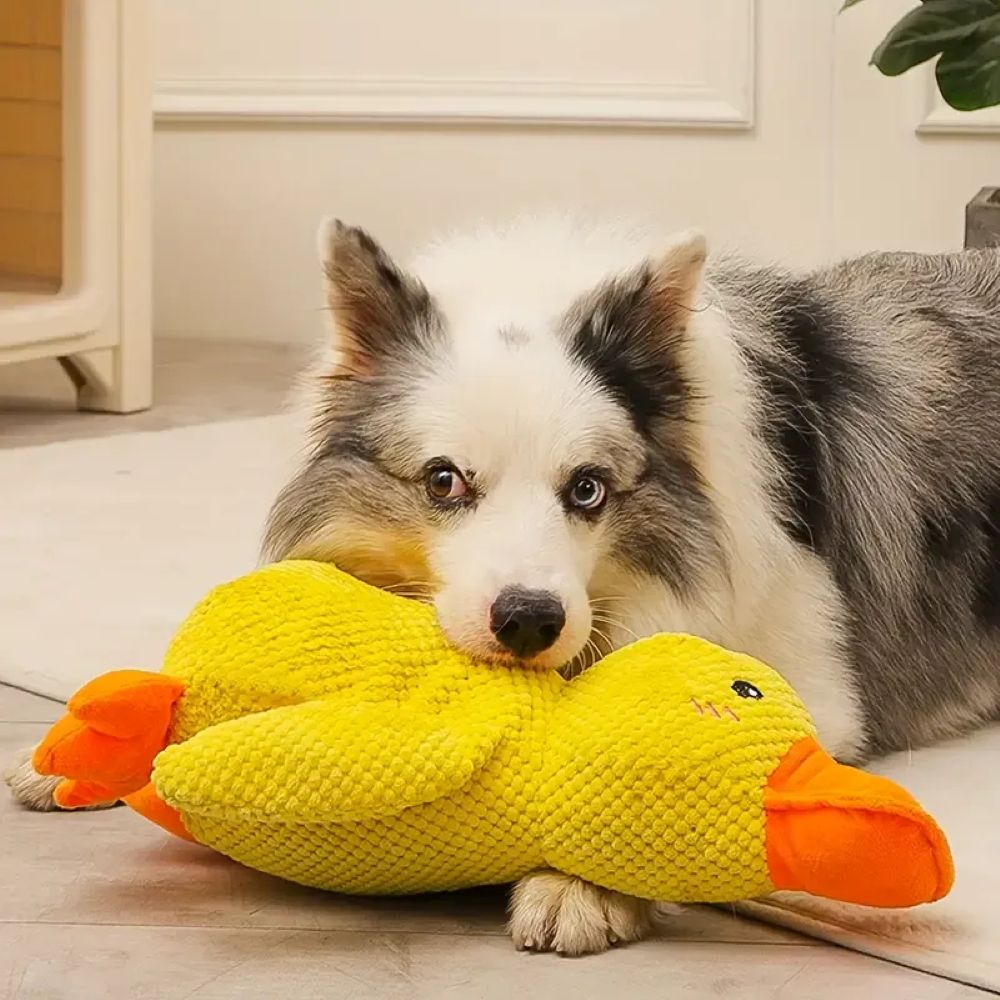 Calming Duck Plush Toy For Dogs – Anxiety Relief & Comfort Toy